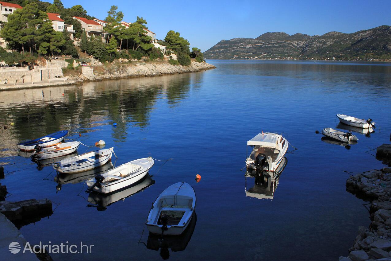 Medvinjak острові Korčula (Južna Dalmacija)