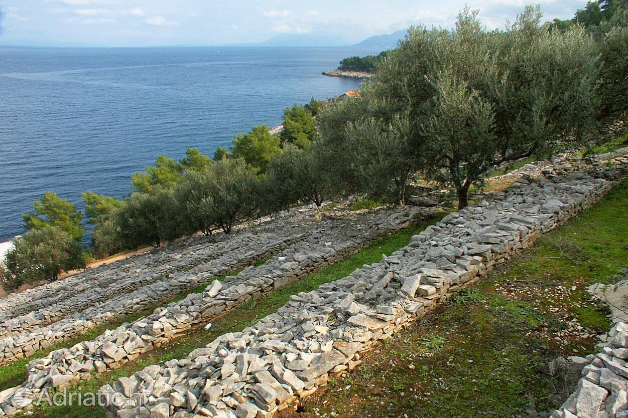 Črnja Luka Korčula szigeten (Južna Dalmacija)