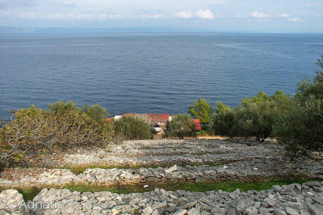 Črnja Luka Korčula szigeten (Južna Dalmacija)