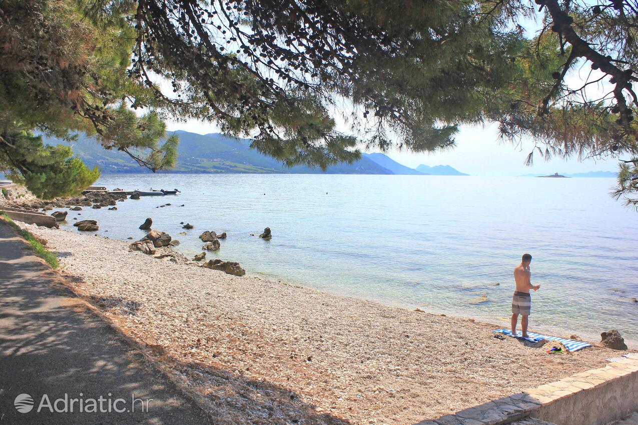 Nearby beaches - Apartments with a parking space Orebić, Pelješac