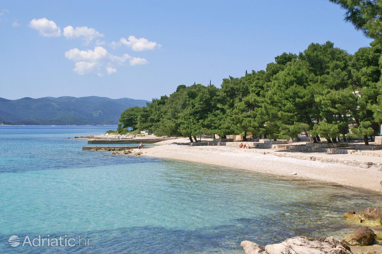 Nearby beaches - Apartments with a parking space Orebić, Pelješac