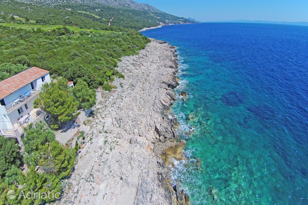Nearby beaches - Apartments by the sea Podobuče, Pelješac