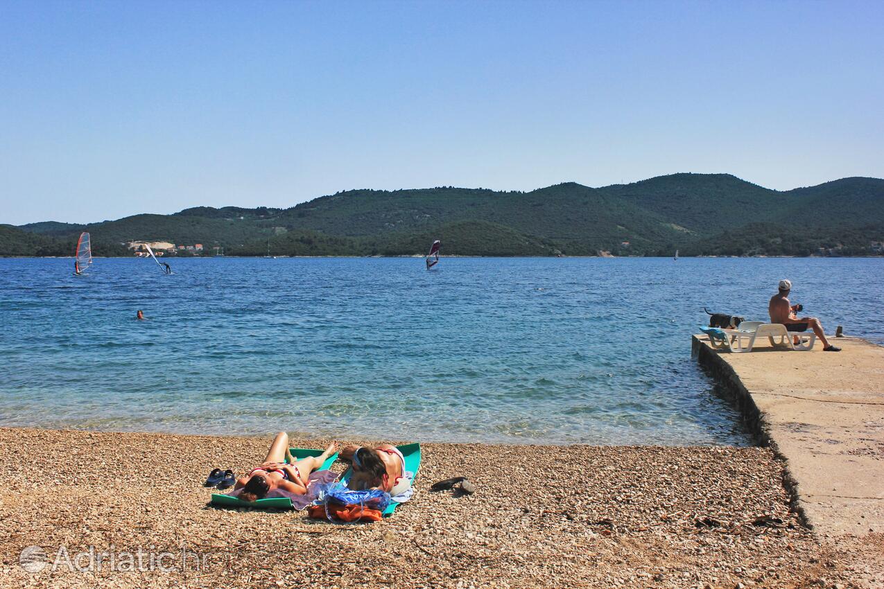 Viganj i Rivieran Pelješac (Južna Dalmacija)