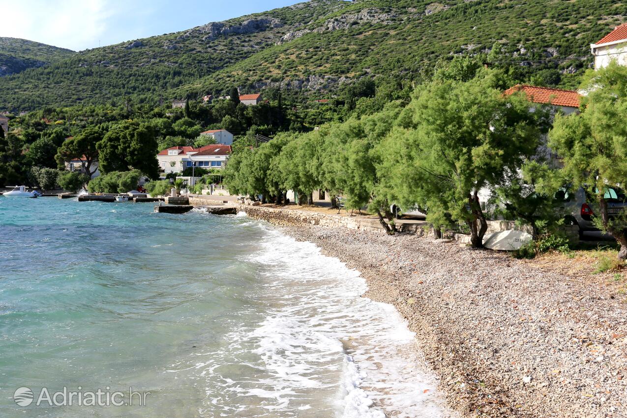 Nearby beaches - Apartments by the sea Viganj, Pelješac