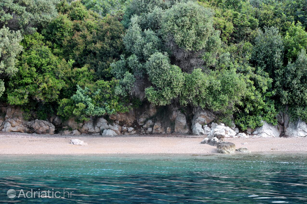 Nearby beaches - Apartments by the sea Viganj, Pelješac