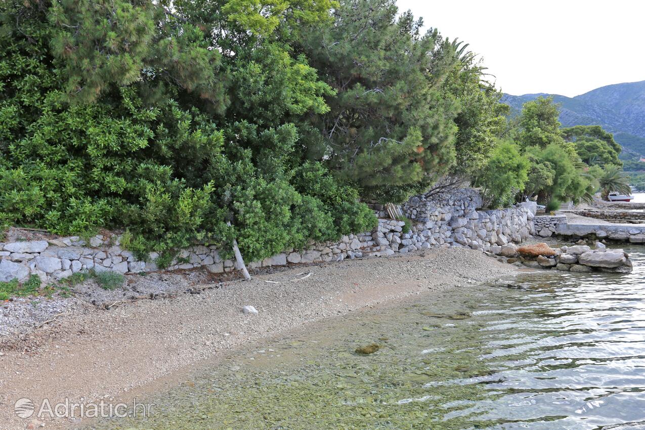 Nearby beaches - Apartments by the sea Viganj, Pelješac
