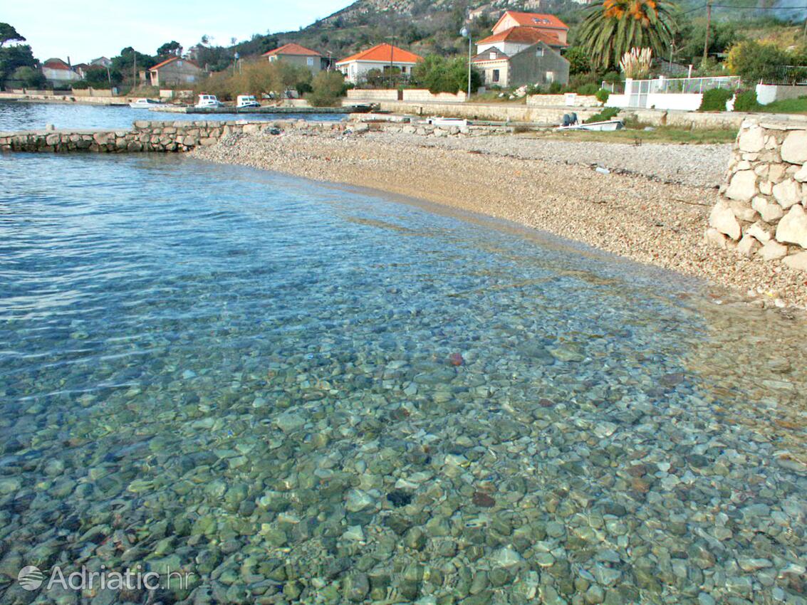 Nearby beaches - Apartments by the sea Viganj, Pelješac