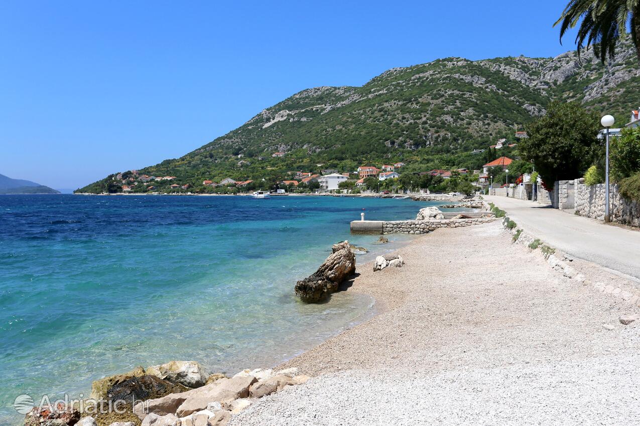 Nearby beaches - Apartments by the sea Viganj, Pelješac