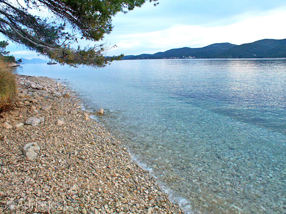 Nearby beaches - Apartments by the sea Viganj, Pelješac