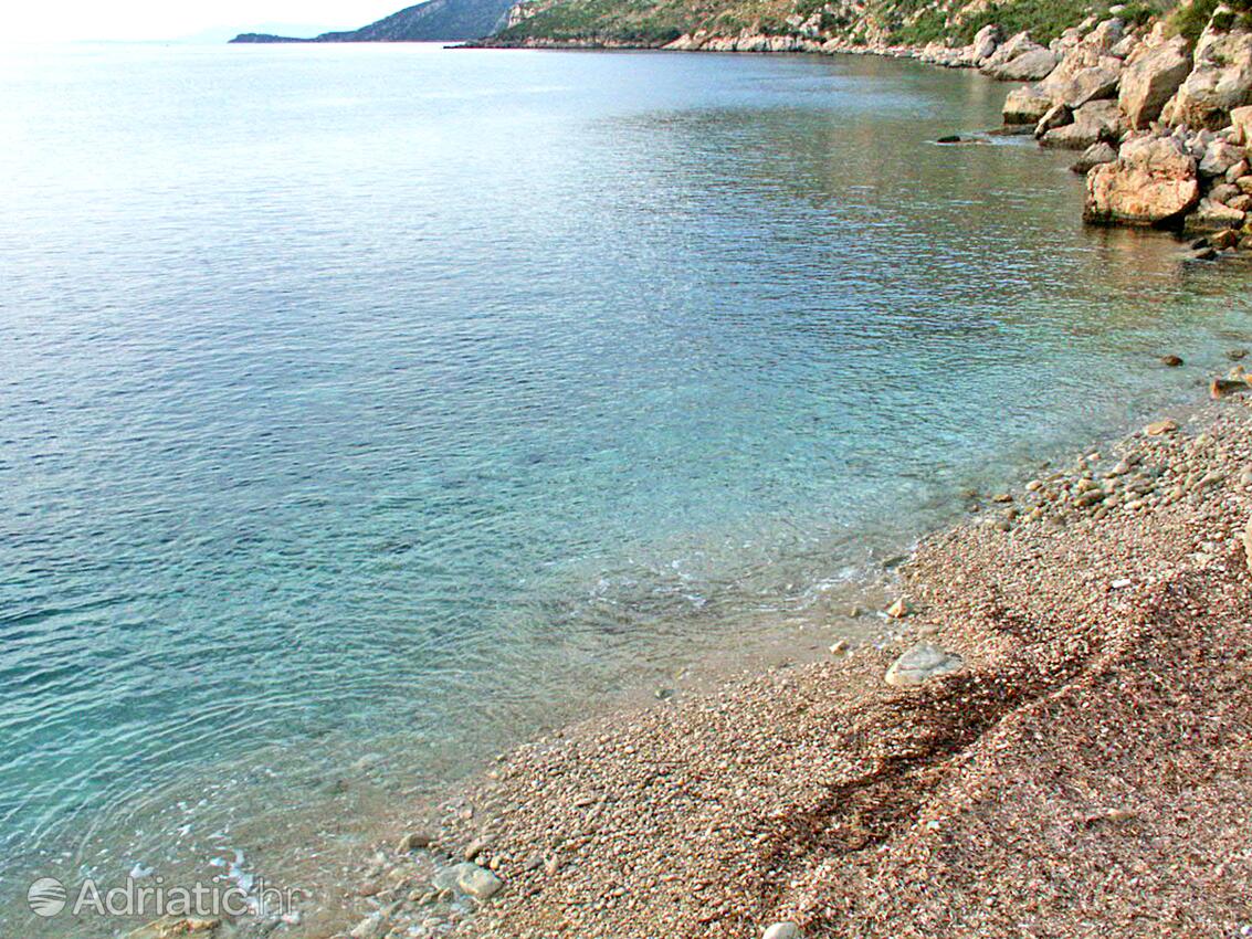 Nearby beaches - Apartments by the sea Viganj, Pelješac