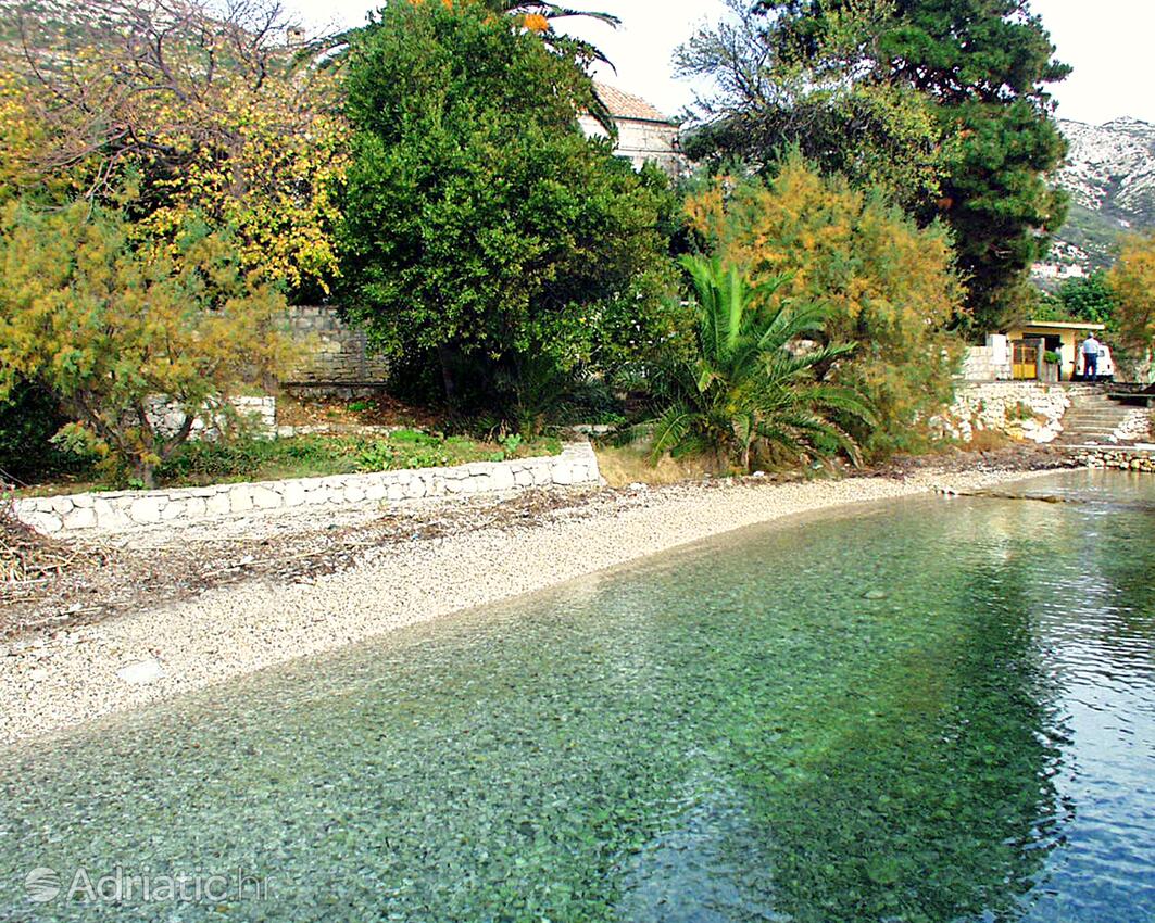 Nearby beaches - Apartments by the sea Viganj, Pelješac