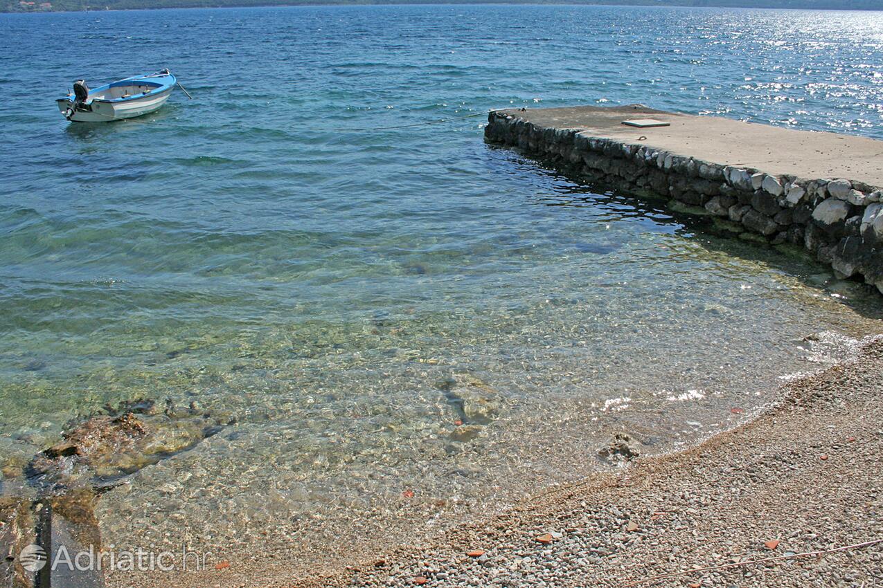 Nearby beaches - Apartments by the sea Viganj, Pelješac