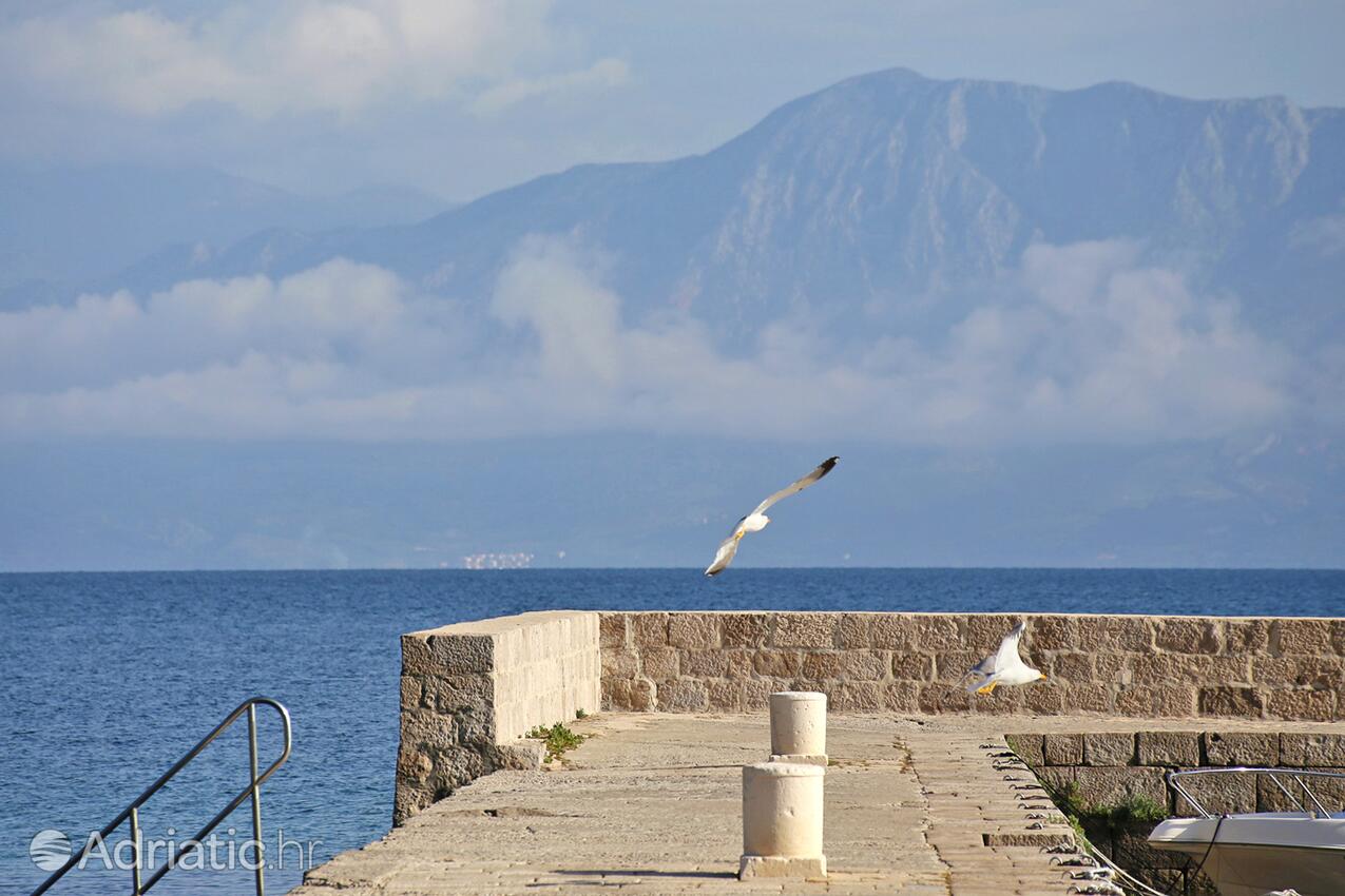 Trpanj na riwierze Pelješac (Južna Dalmacija)