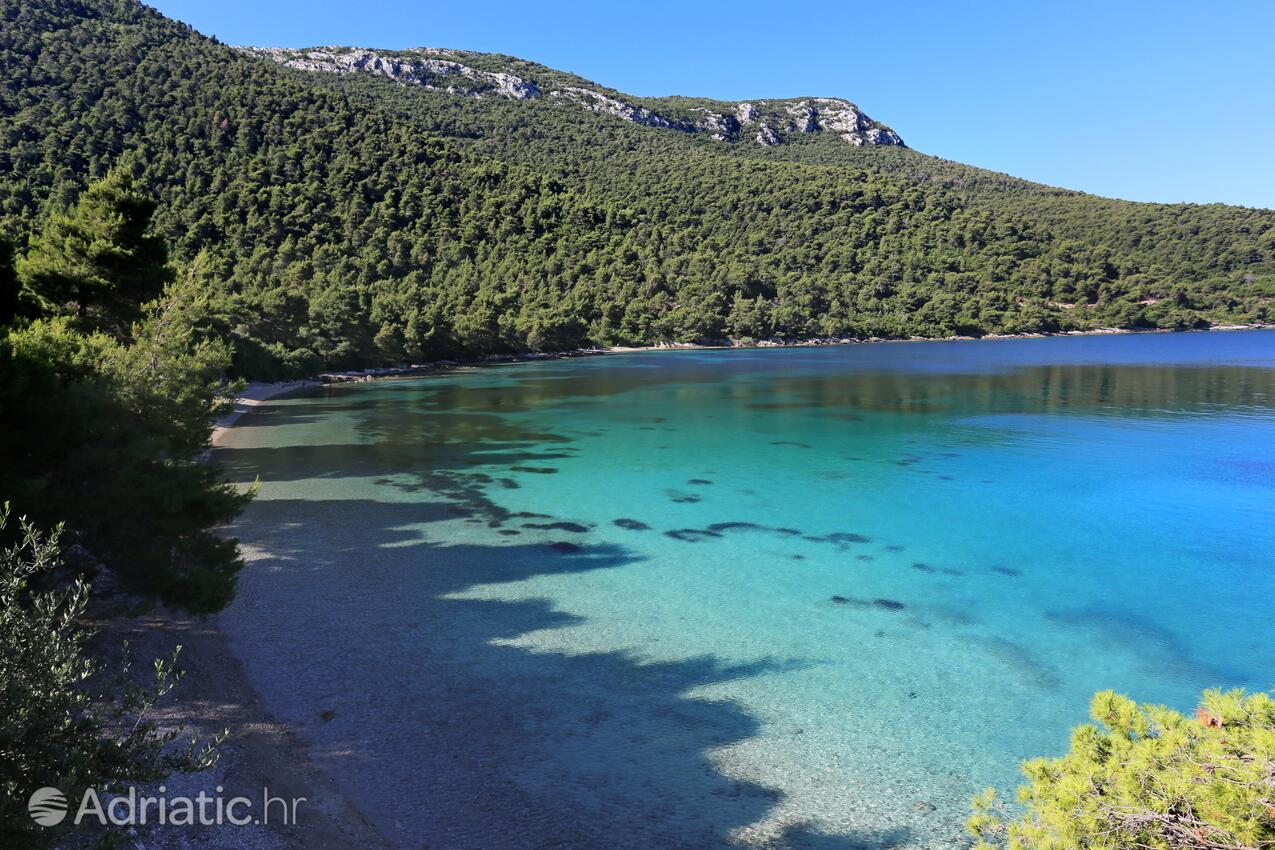 Nearby beaches - Apartments with a parking space Žuljana, Pelješac
