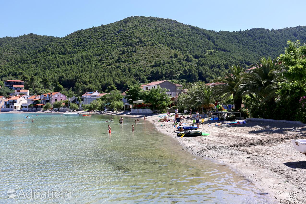 Nearby beaches - Apartments with a parking space Žuljana, Pelješac