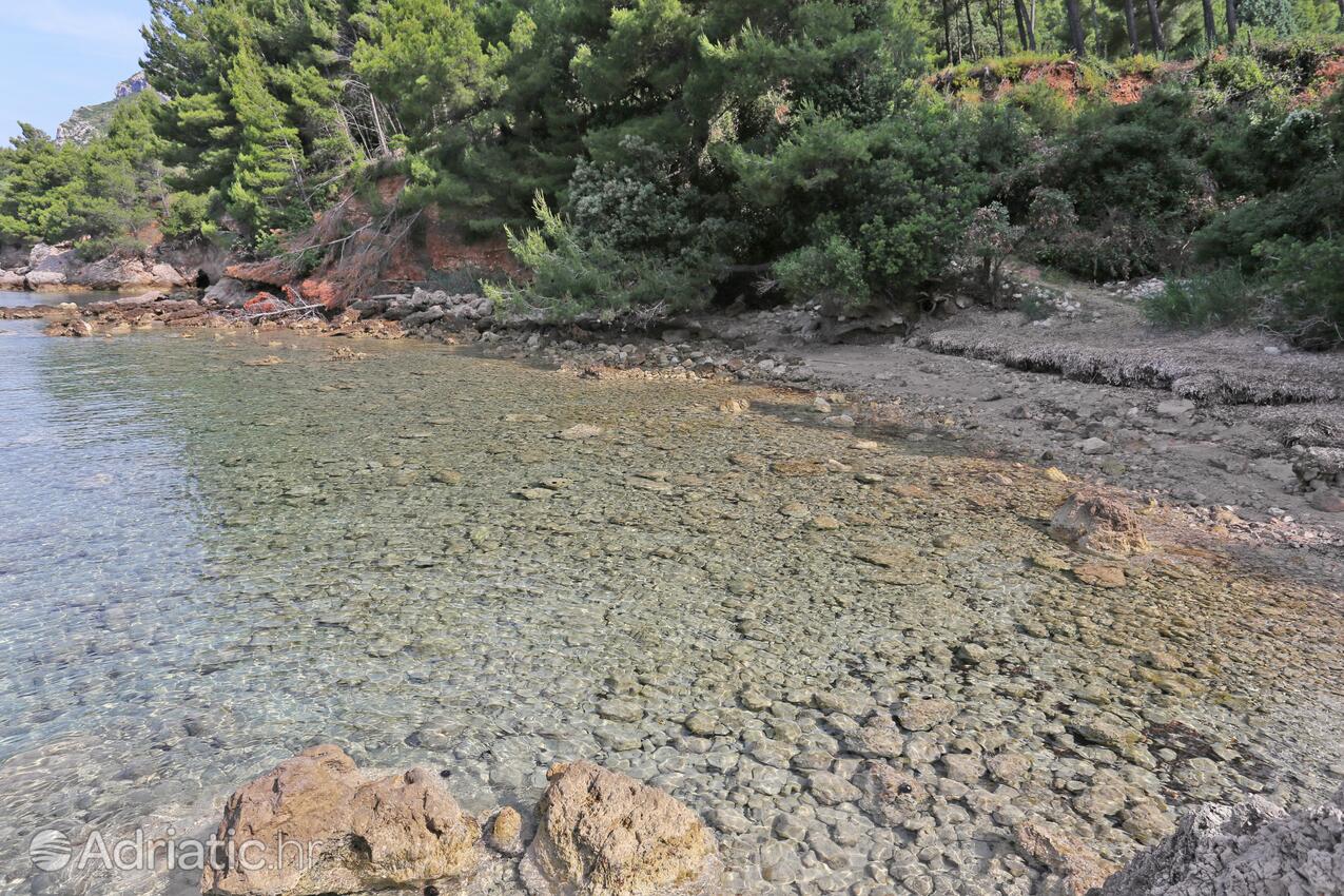 Nearby beaches - Apartments with a parking space Žuljana, Pelješac
