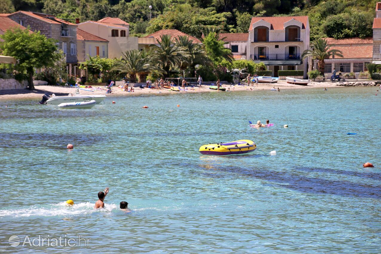 Nearby beaches - Apartments with a parking space Žuljana, Pelješac