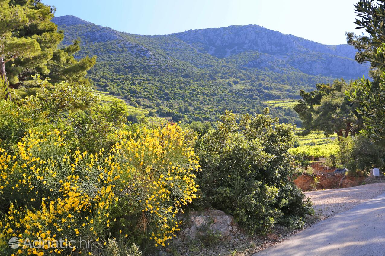 Dingač - Borak i Riviera Pelješac (Južna Dalmacija)