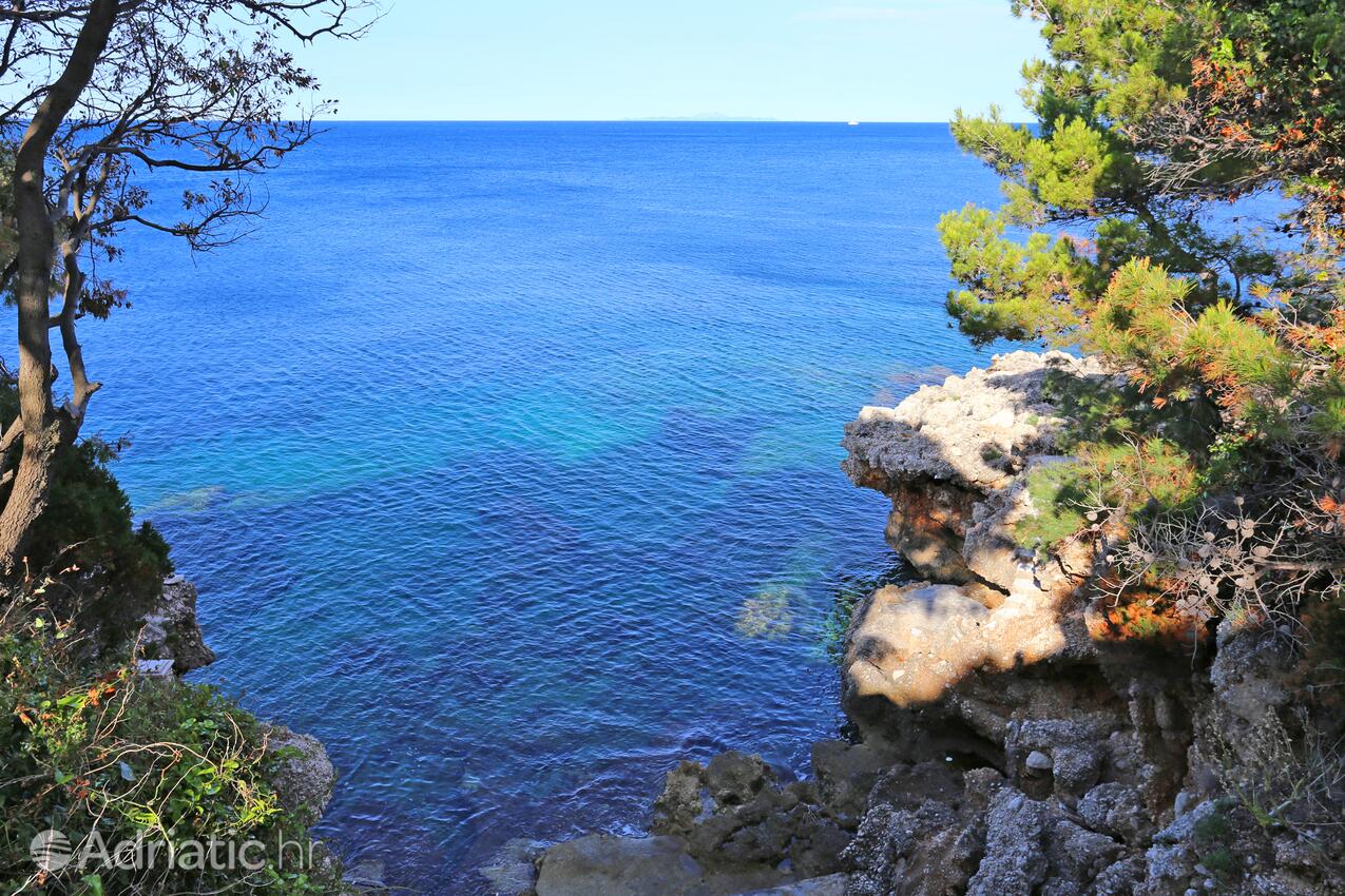 Dingač - Borak i Riviera Pelješac (Južna Dalmacija)