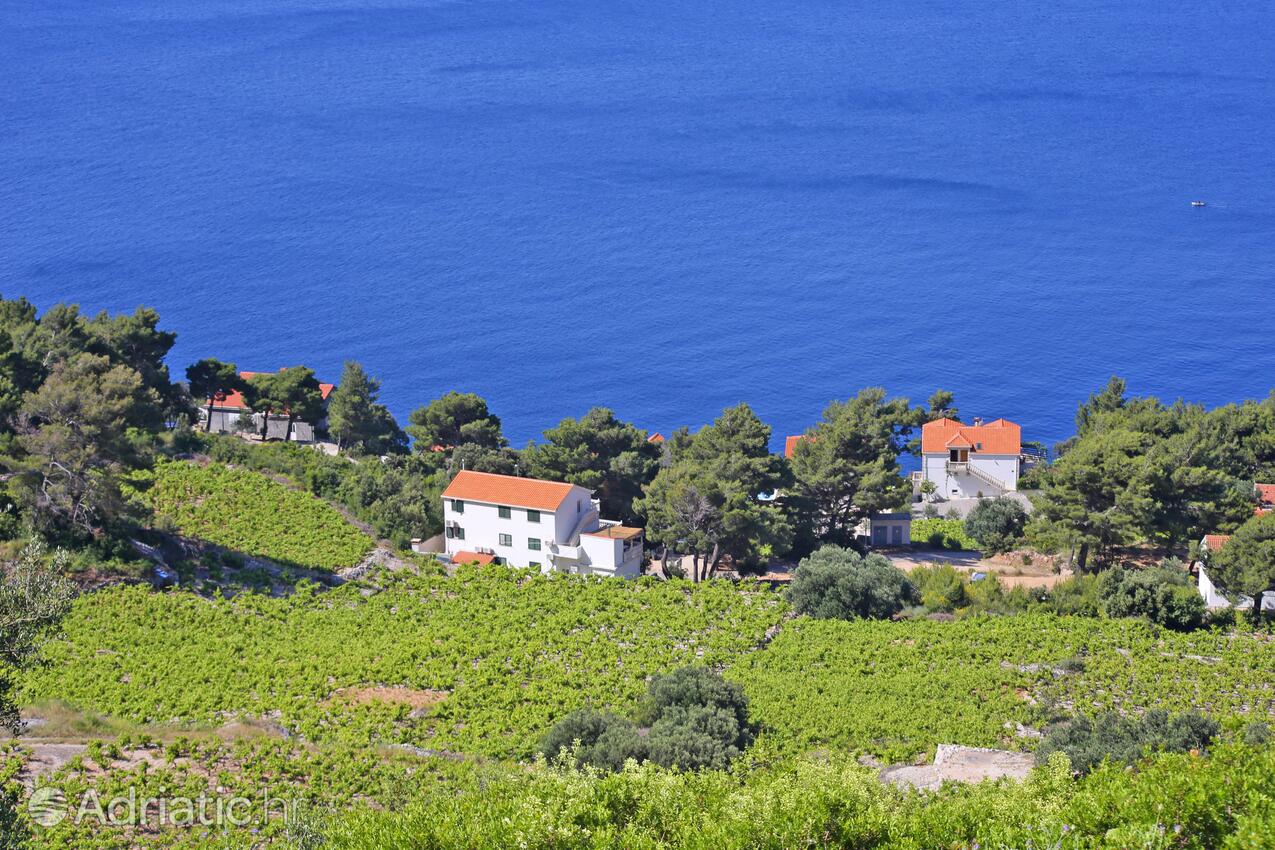 Dingač - Borak i Riviera Pelješac (Južna Dalmacija)