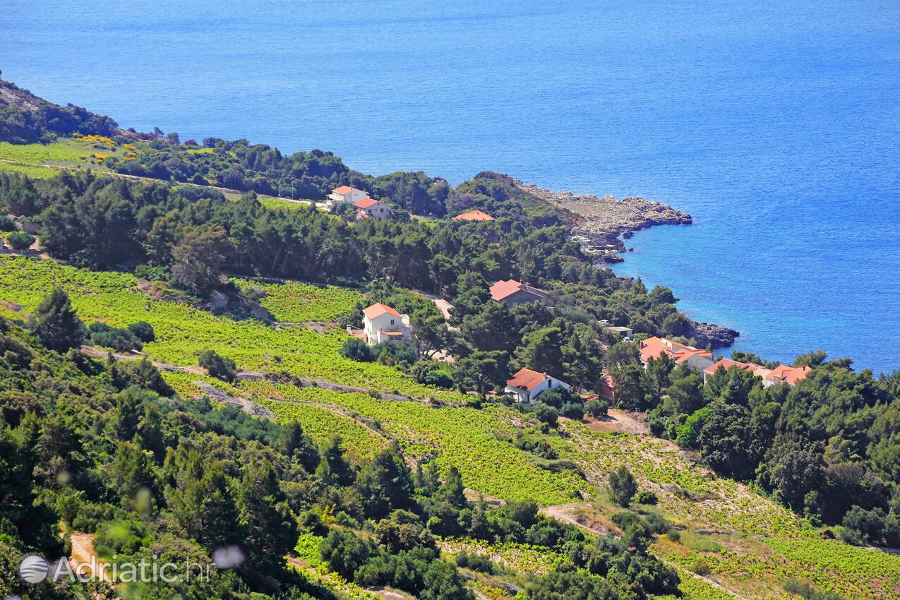 Dingač - Borak en la ribera Pelješac (Južna Dalmacija)