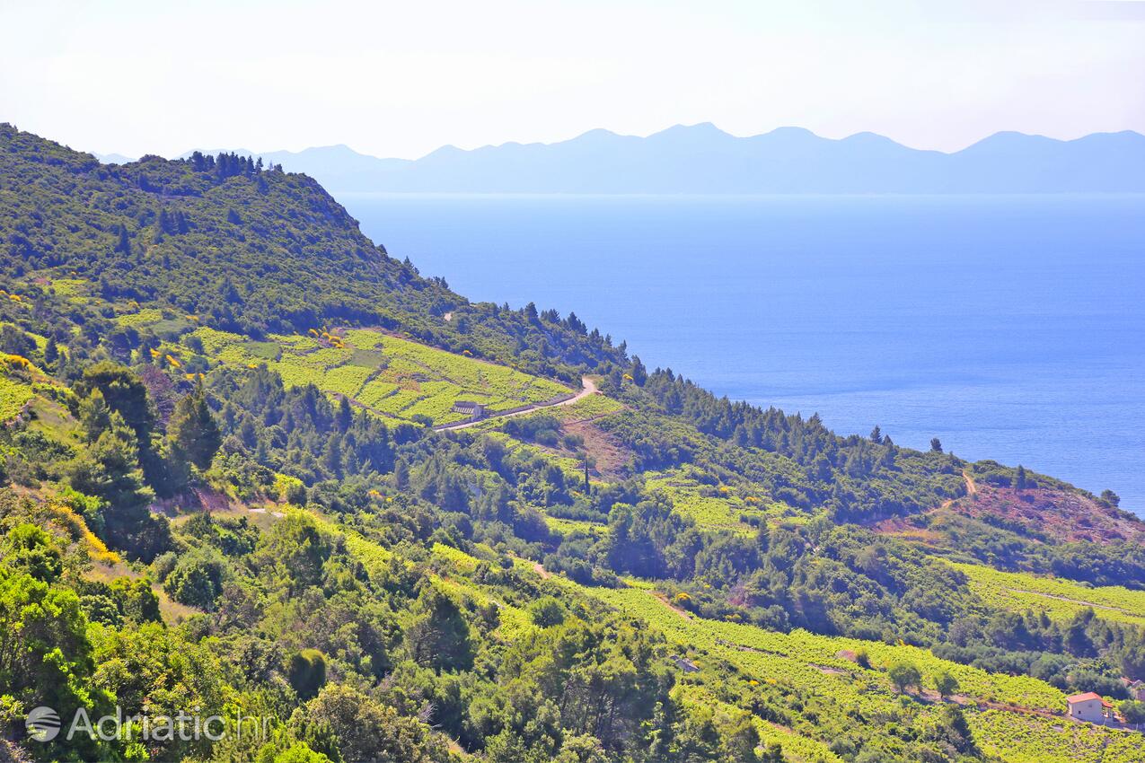 Dingač - Borak en la ribera Pelješac (Južna Dalmacija)