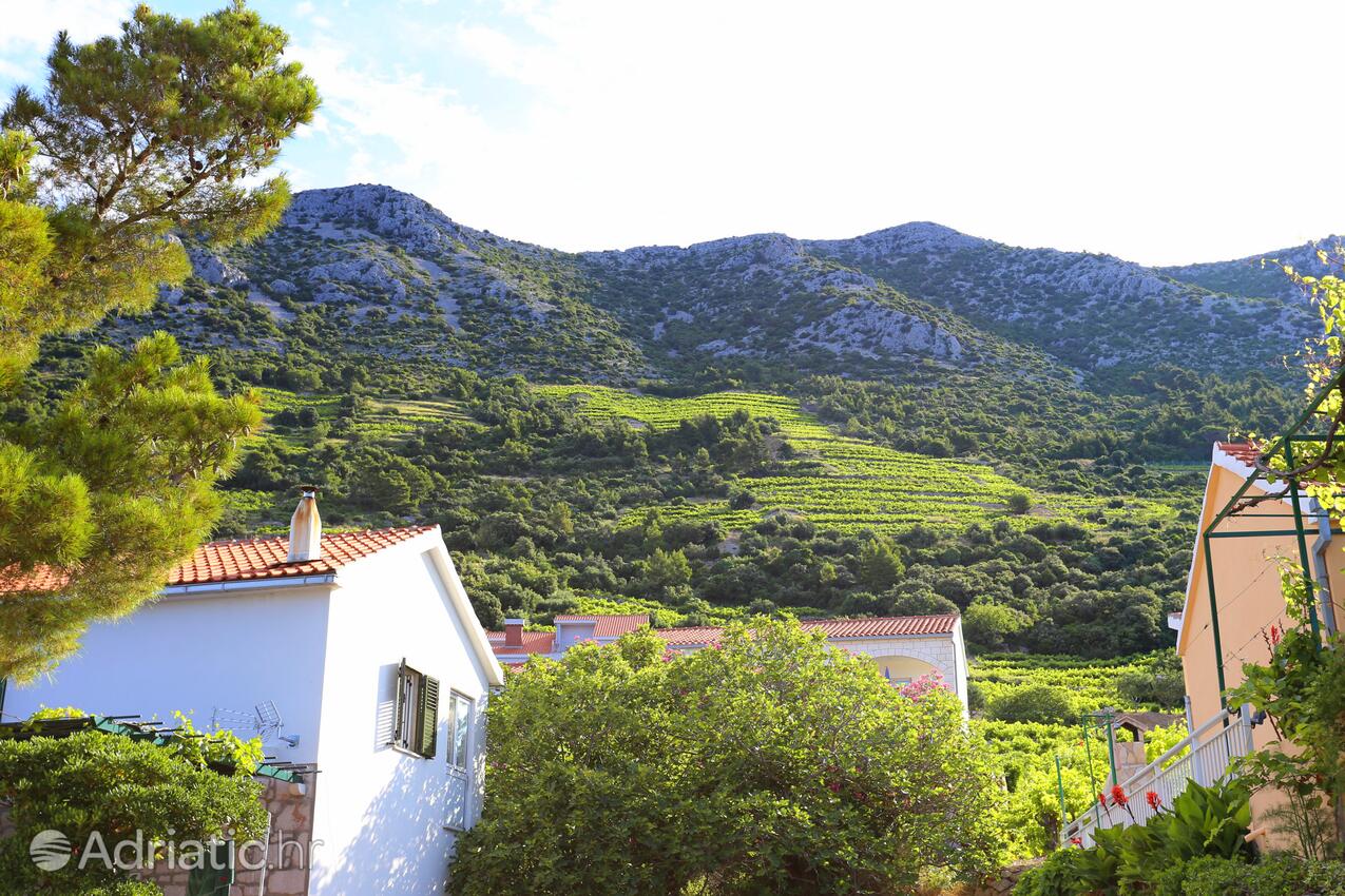 Dingač - Borak i Riviera Pelješac (Južna Dalmacija)