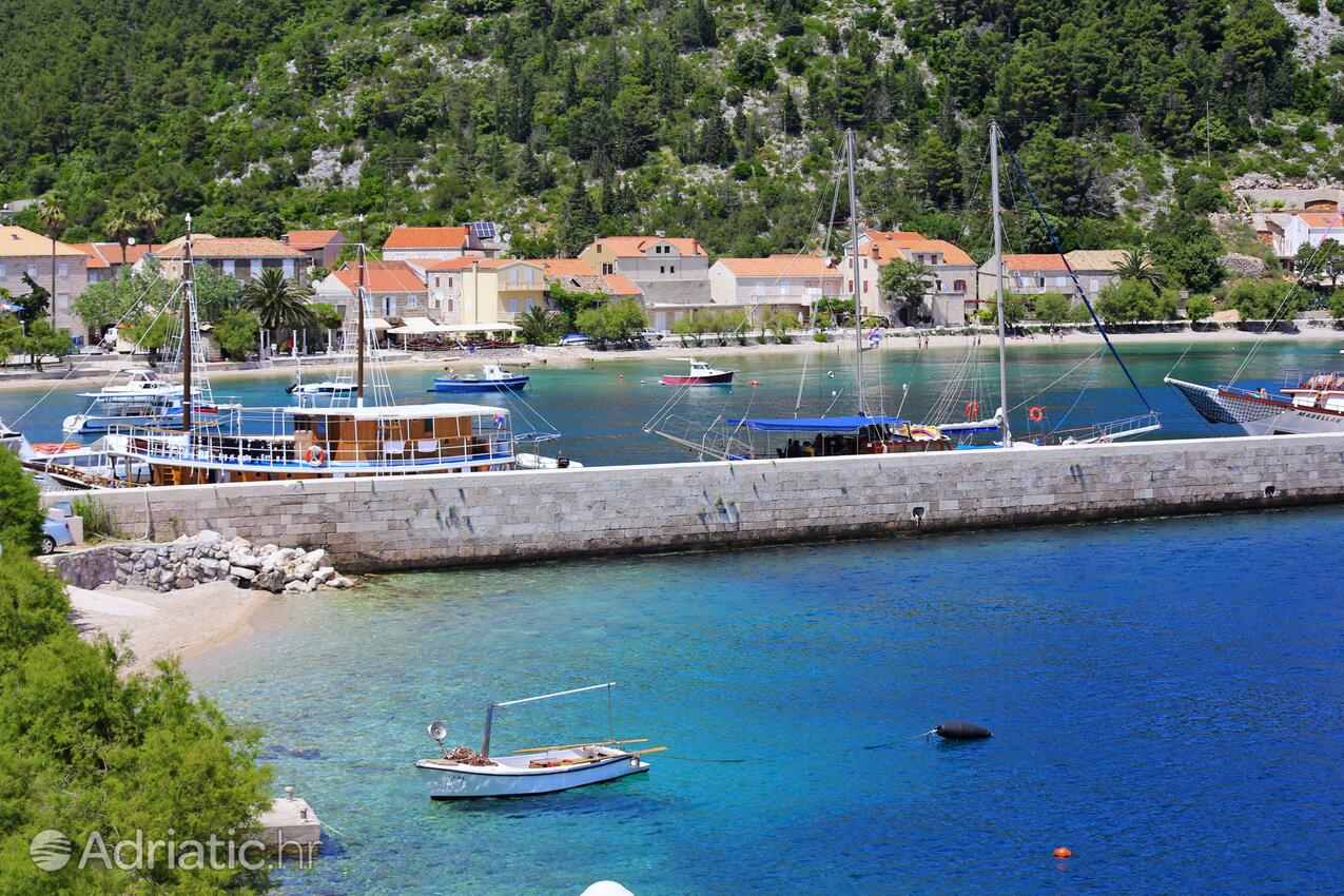 Trstenik en la ribera Pelješac (Južna Dalmacija)