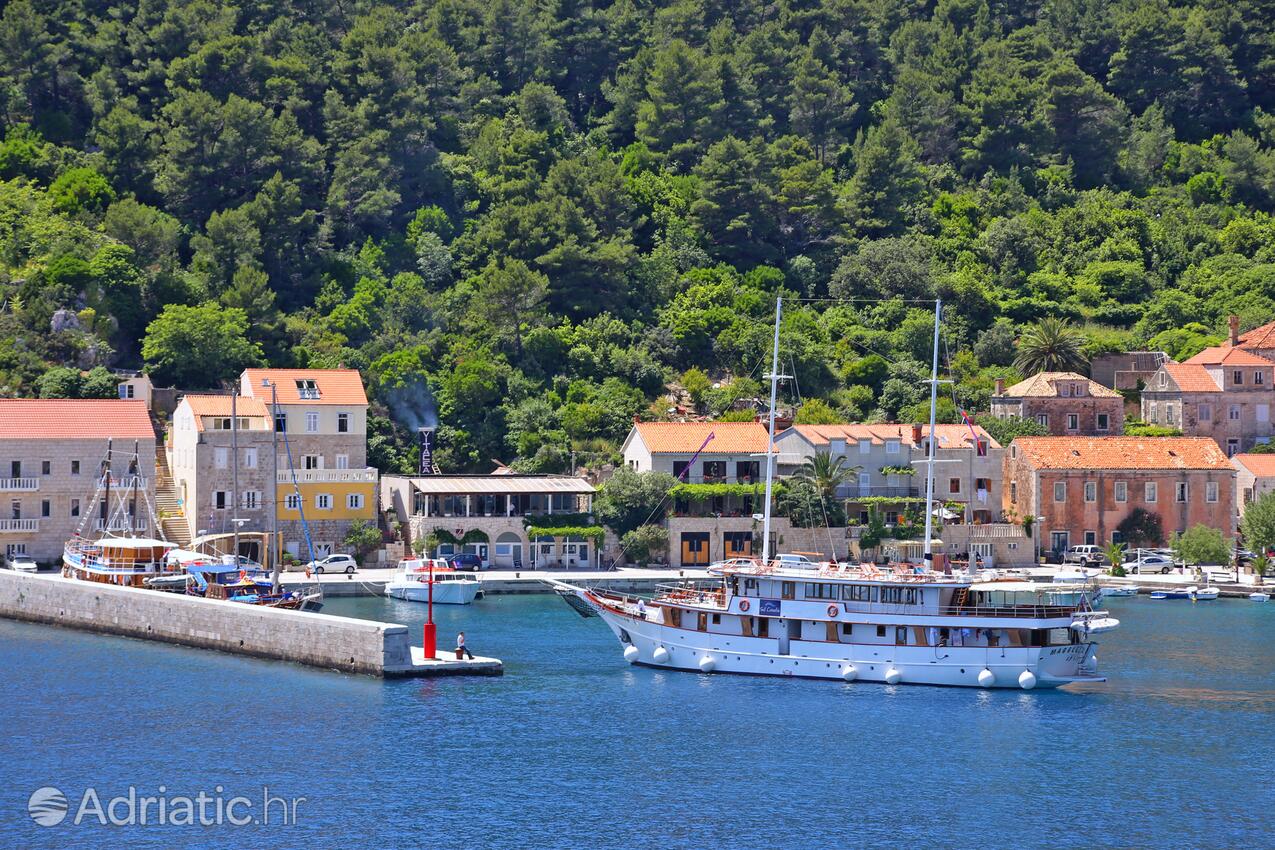 Trstenik en la ribera Pelješac (Južna Dalmacija)