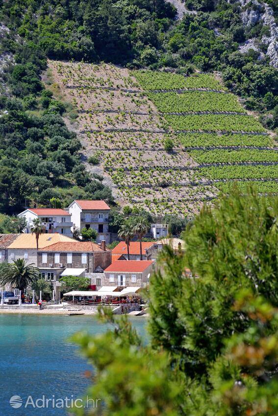 Trstenik in Riviera Pelješac (Južna Dalmacija)