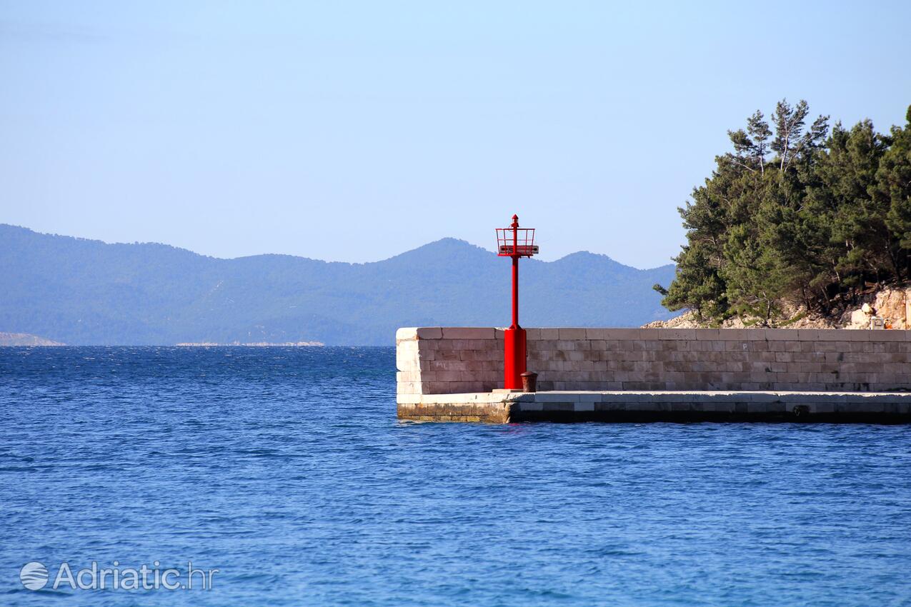 Trstenik na rivieri Pelješac (Južna Dalmacija)