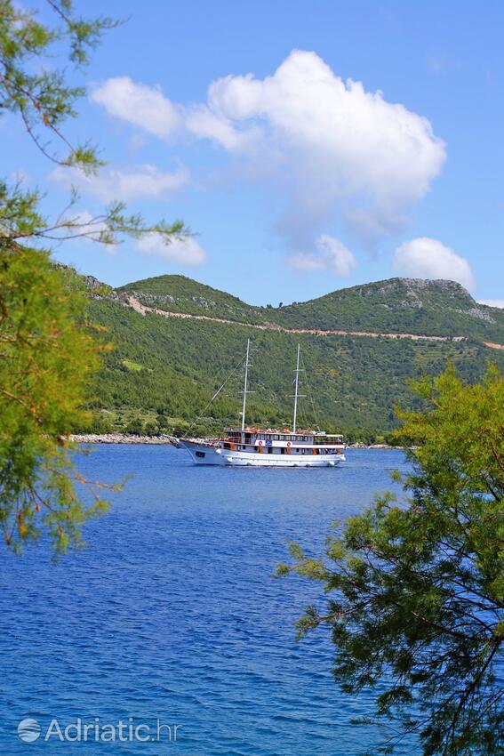 Trstenik in Riviera Pelješac (Južna Dalmacija)