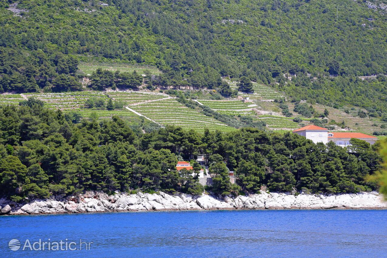 Trstenik en la ribera Pelješac (Južna Dalmacija)