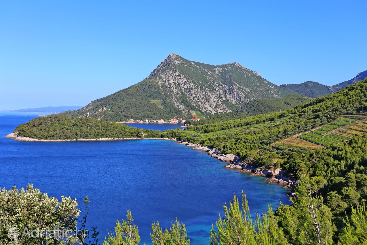 Trstenik en la ribera Pelješac (Južna Dalmacija)