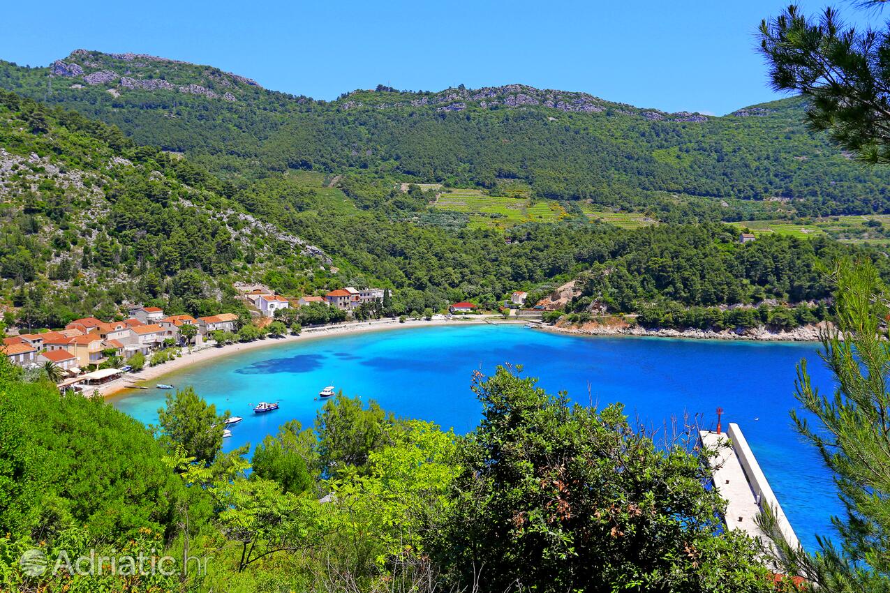 Trstenik na rivieri Pelješac (Južna Dalmacija)