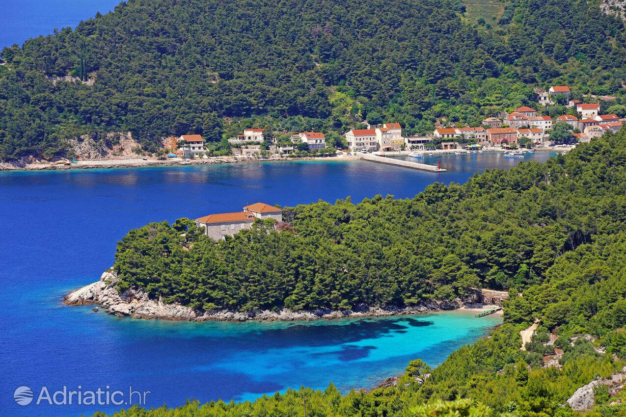 Trstenik en la ribera Pelješac (Južna Dalmacija)