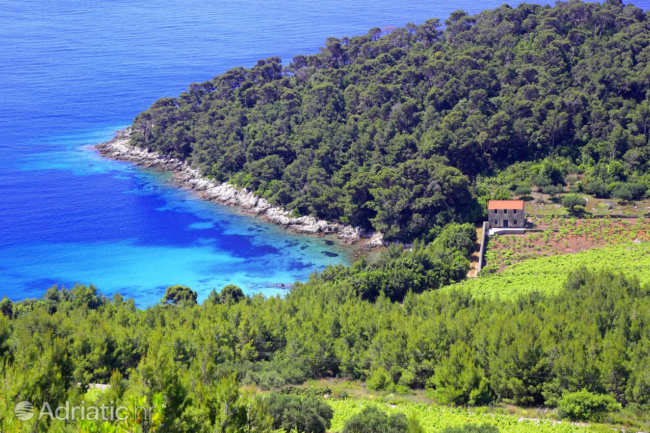 Trstenik na rivieri Pelješac (Južna Dalmacija)