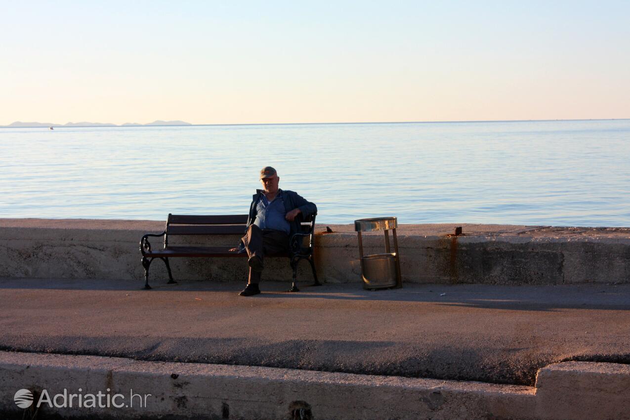 Zadar - Diklo pe riviera Zadar (Sjeverna Dalmacija)