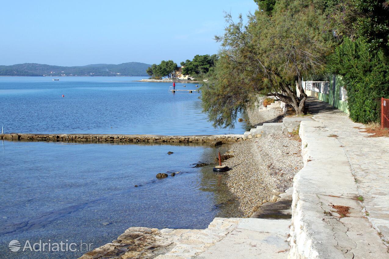 Spiagge nelle vicinanze - Appartamenti accanto al mare San Cassiano - Sukošan, Zara - Zadar