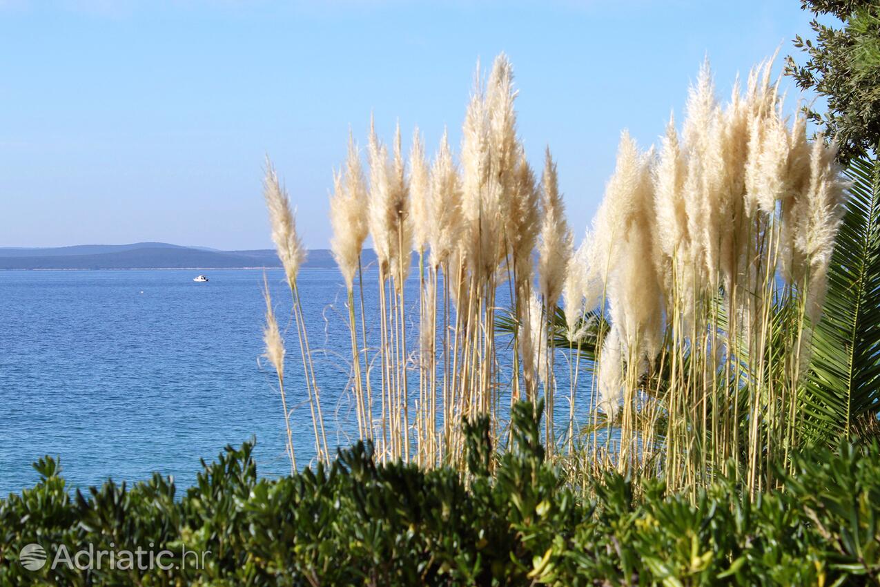 Petrčane u rivijeri Zadar (Sjeverna Dalmacija)