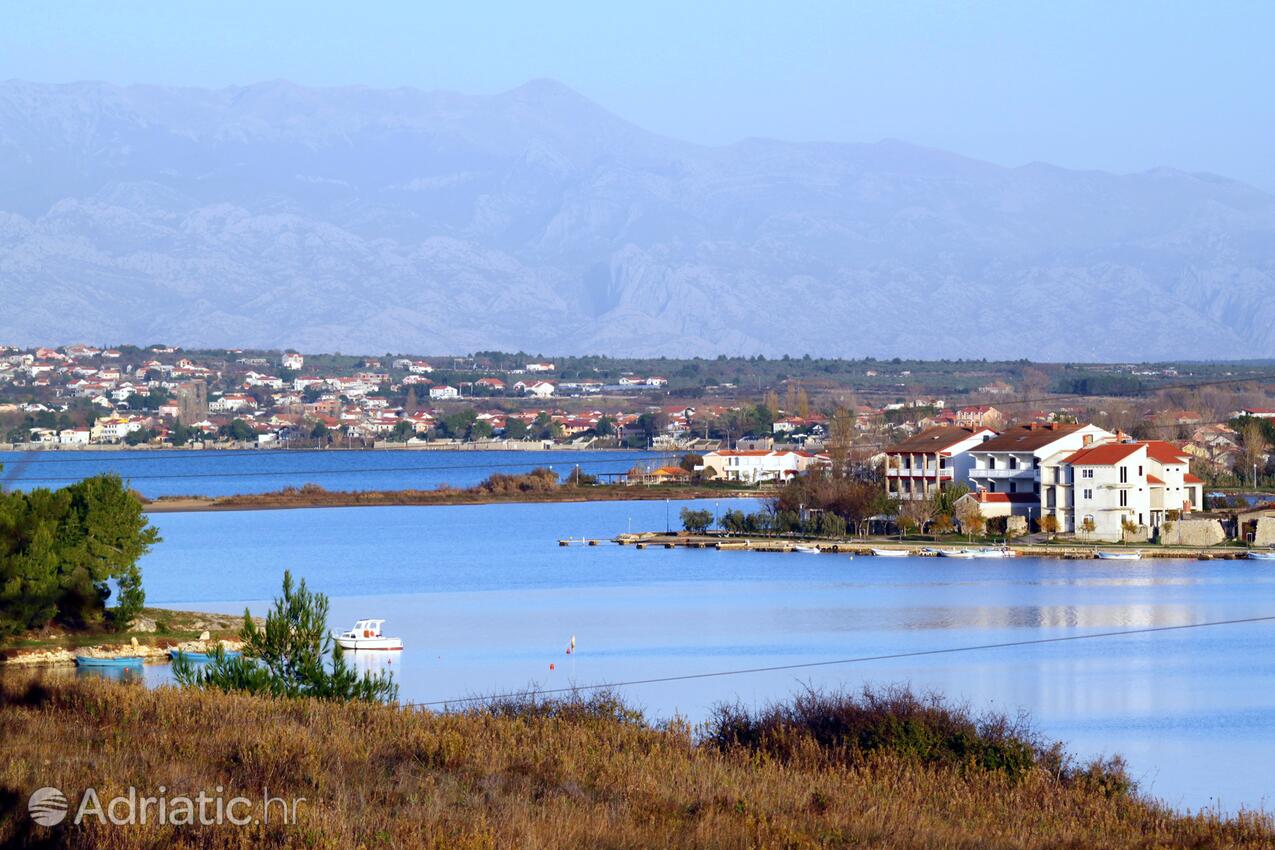 Zukve Zadar riviérán (Sjeverna Dalmacija)