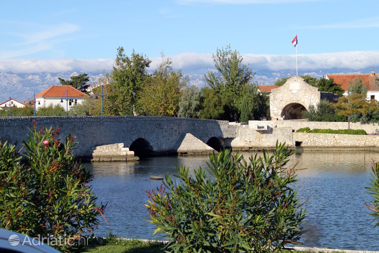 Zukve Zadar riviérán (Sjeverna Dalmacija)