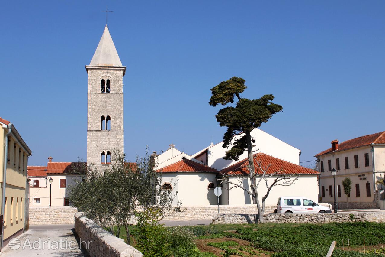 Zukve Zadar riviérán (Sjeverna Dalmacija)