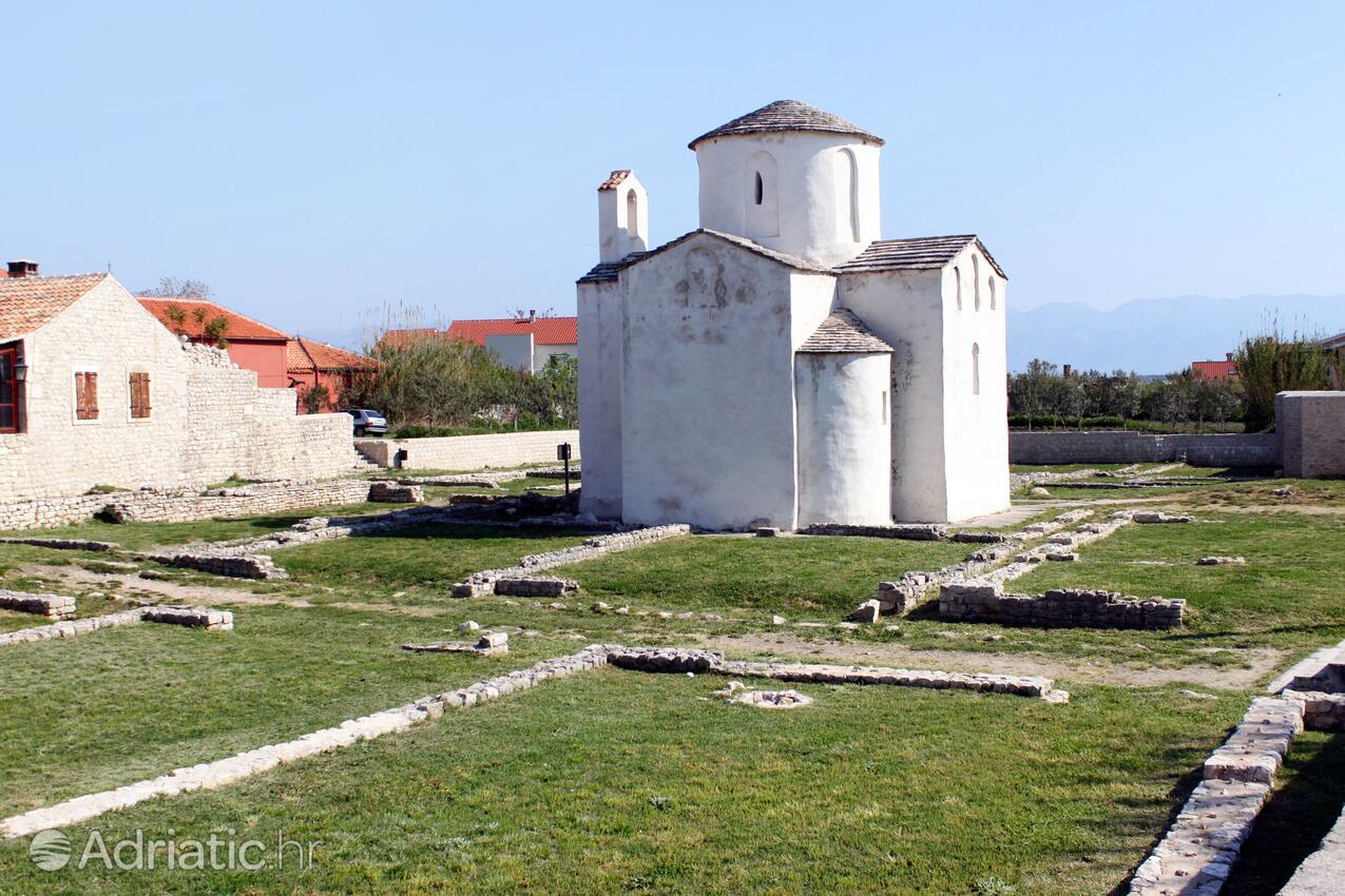 Zukve an der Riviera Zadar (Sjeverna Dalmacija)