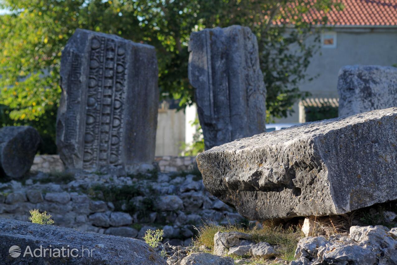 Zukve Zadar riviérán (Sjeverna Dalmacija)