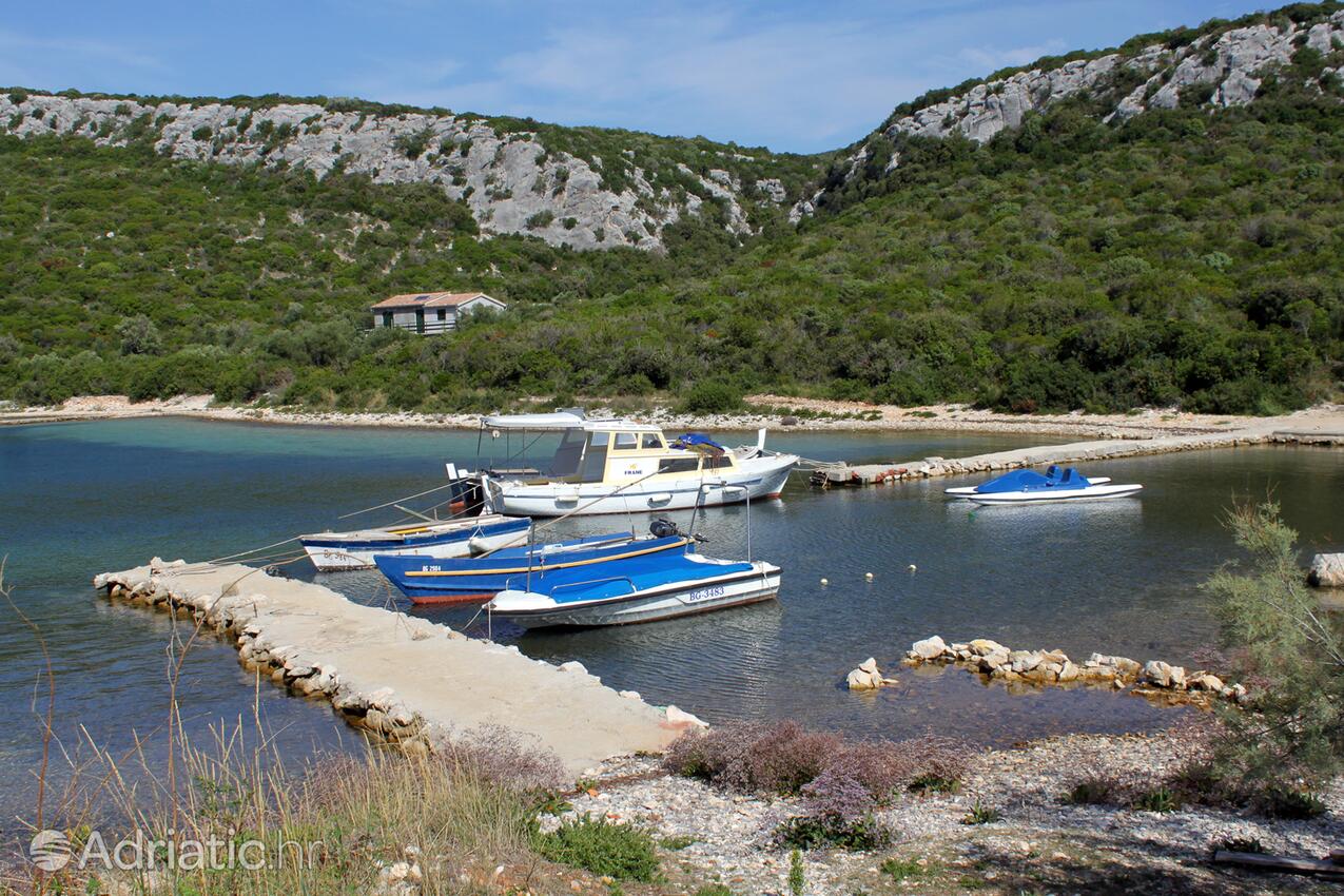 Kobiljak på otoku Pašman (Sjeverna Dalmacija)