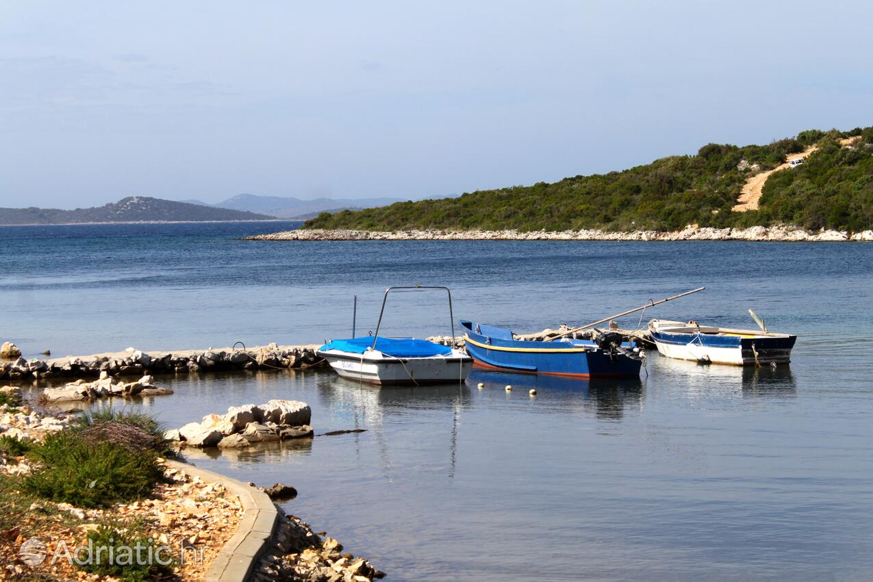 Kobiljak auf der Insel  Pašman (Sjeverna Dalmacija)