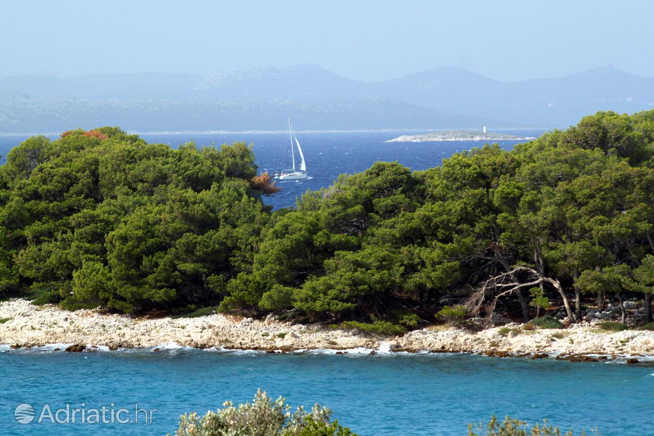 Zuborovica na ostrově Pašman (Sjeverna Dalmacija)