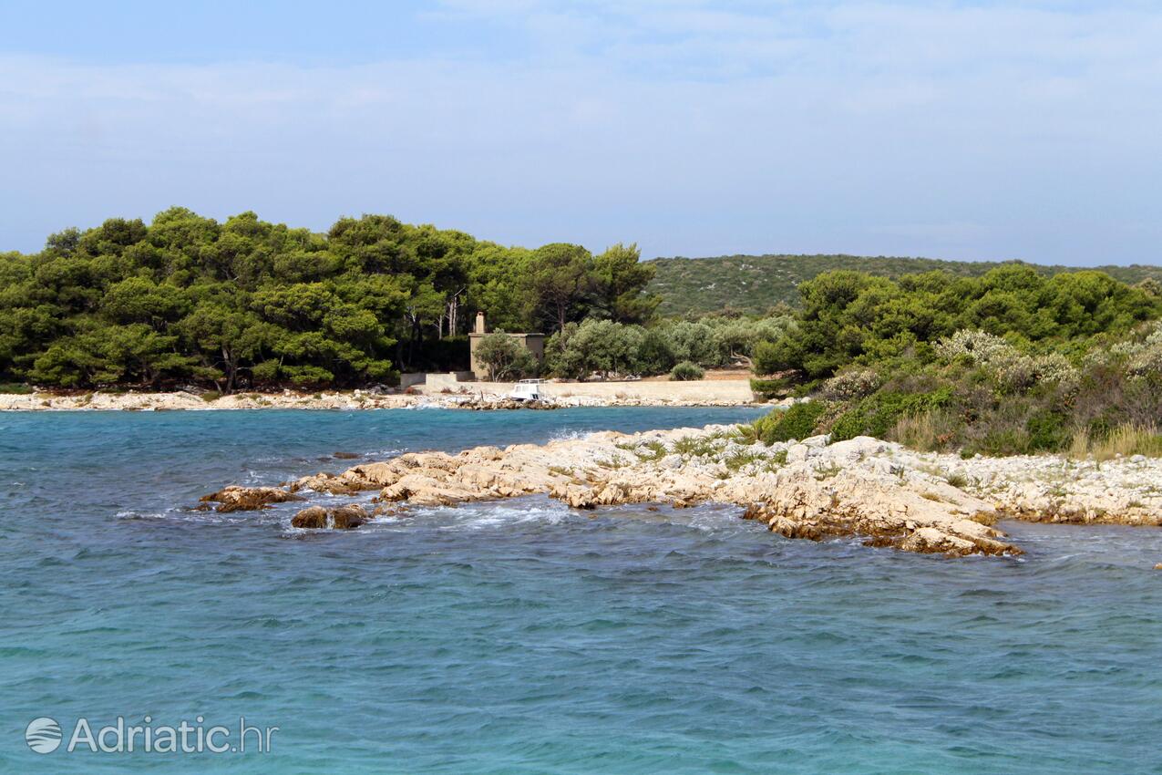 Zuborovica острові Pašman (Sjeverna Dalmacija)