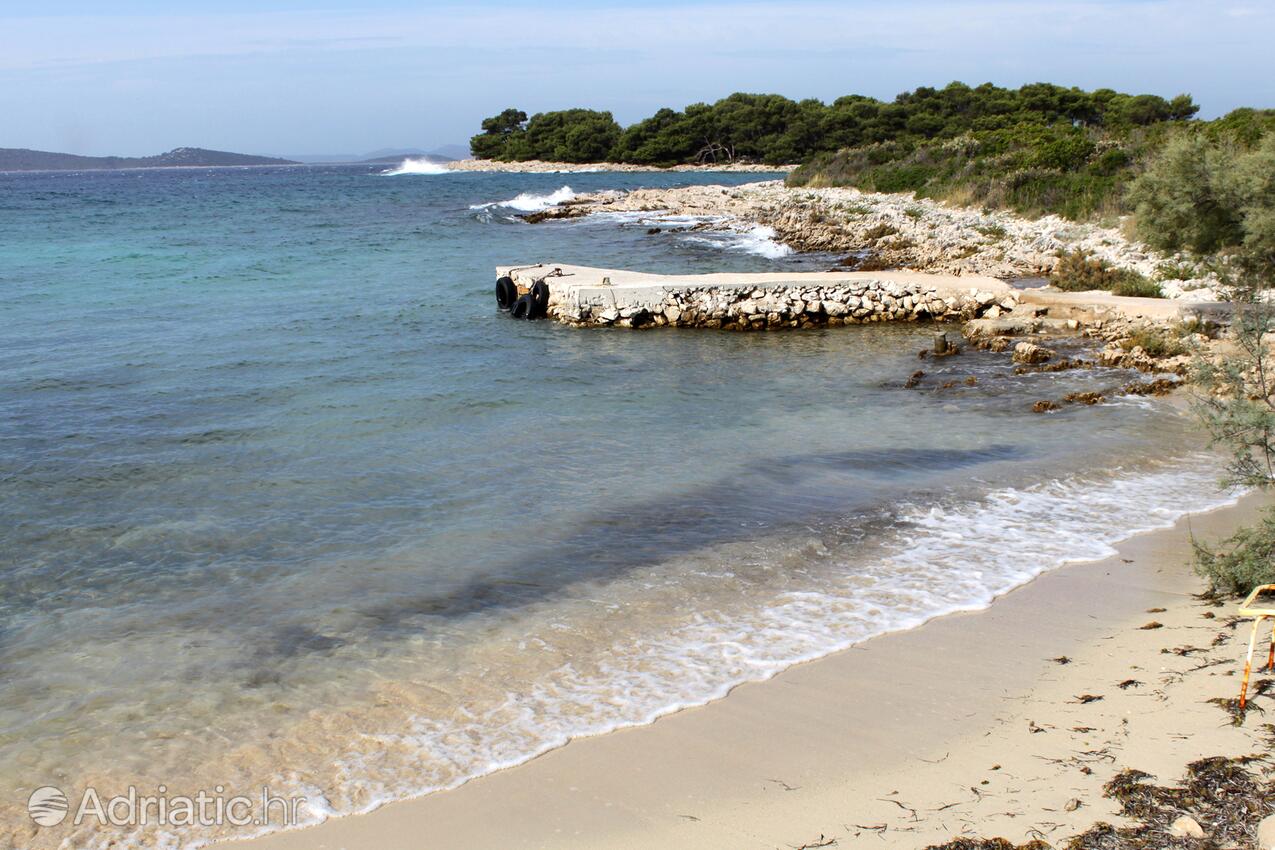 Zuborovica острові Pašman (Sjeverna Dalmacija)